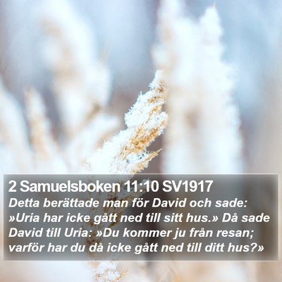 2 Samuelsboken 11:10 SV1917 Bible Verse Image
