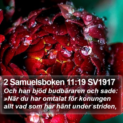 2 Samuelsboken 11:19 SV1917 Bible Verse Image