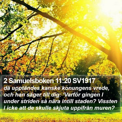 2 Samuelsboken 11:20 SV1917 Bible Verse Image