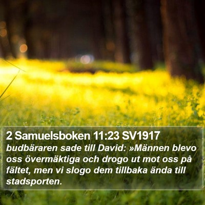2 Samuelsboken 11:23 SV1917 Bible Verse Image