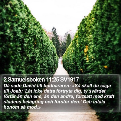 2 Samuelsboken 11:25 SV1917 Bible Verse Image