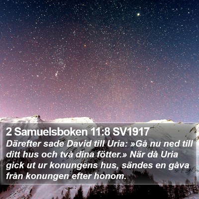 2 Samuelsboken 11:8 SV1917 Bible Verse Image