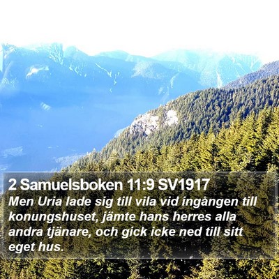 2 Samuelsboken 11:9 SV1917 Bible Verse Image