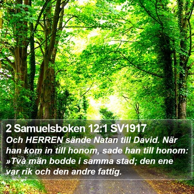2 Samuelsboken 12:1 SV1917 Bible Verse Image