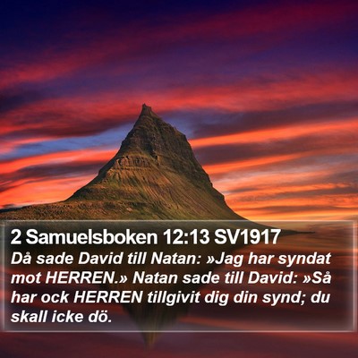 2 Samuelsboken 12:13 SV1917 Bible Verse Image