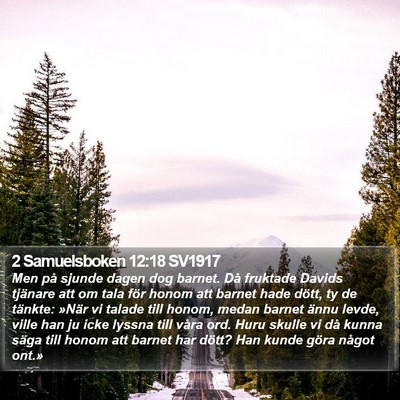 2 Samuelsboken 12:18 SV1917 Bible Verse Image