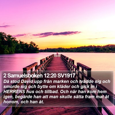 2 Samuelsboken 12:20 SV1917 Bible Verse Image