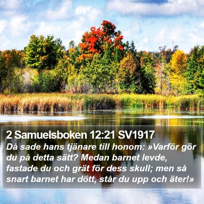 2 Samuelsboken 12:21 SV1917 Bible Verse Image