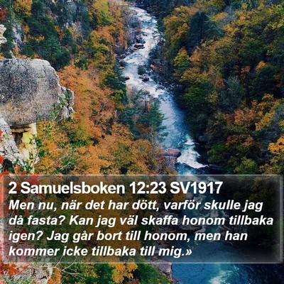 2 Samuelsboken 12:23 SV1917 Bible Verse Image