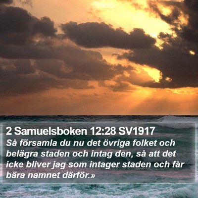 2 Samuelsboken 12:28 SV1917 Bible Verse Image