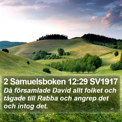 2 Samuelsboken 12:29 SV1917 Bible Verse Image