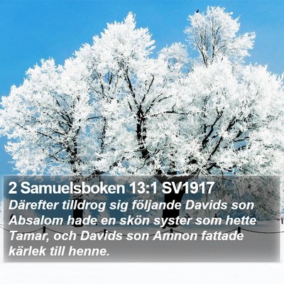 2 Samuelsboken 13:1 SV1917 Bible Verse Image