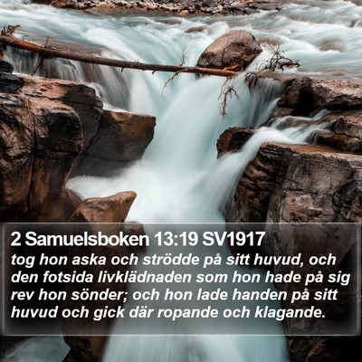 2 Samuelsboken 13:19 SV1917 Bible Verse Image
