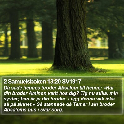 2 Samuelsboken 13:20 SV1917 Bible Verse Image