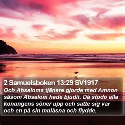 2 Samuelsboken 13:29 SV1917 Bible Verse Image