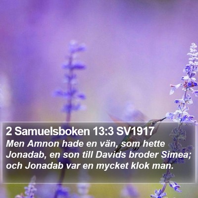 2 Samuelsboken 13:3 SV1917 Bible Verse Image