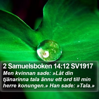 2 Samuelsboken 14:12 SV1917 Bible Verse Image