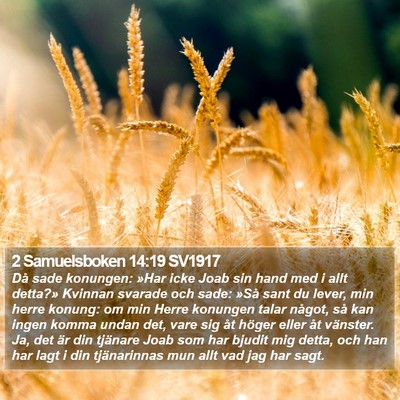 2 Samuelsboken 14:19 SV1917 Bible Verse Image