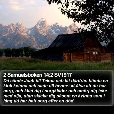 2 Samuelsboken 14:2 SV1917 Bible Verse Image