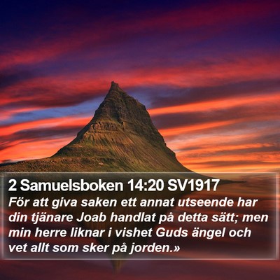 2 Samuelsboken 14:20 SV1917 Bible Verse Image