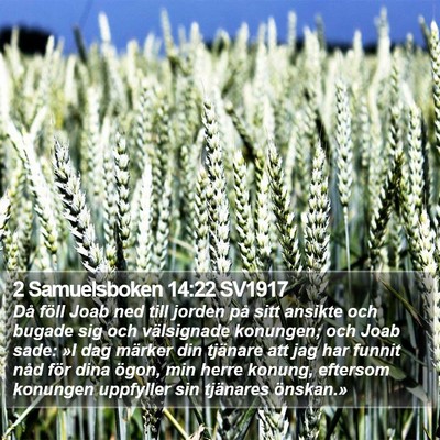 2 Samuelsboken 14:22 SV1917 Bible Verse Image