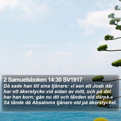 2 Samuelsboken 14:30 SV1917 Bible Verse Image