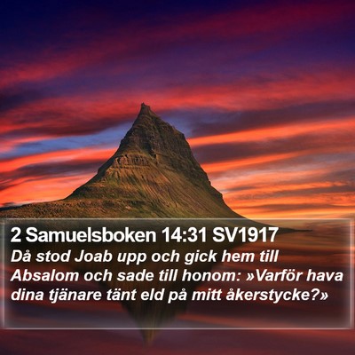 2 Samuelsboken 14:31 SV1917 Bible Verse Image