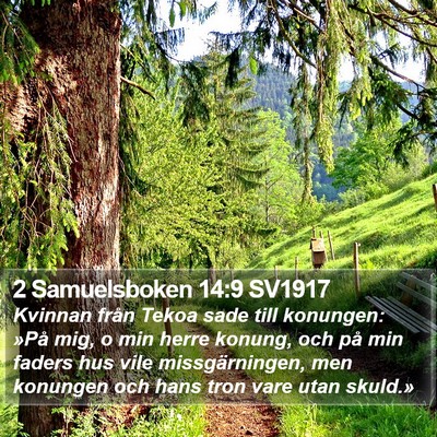 2 Samuelsboken 14:9 SV1917 Bible Verse Image