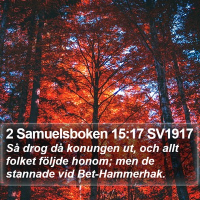 2 Samuelsboken 15:17 SV1917 Bible Verse Image