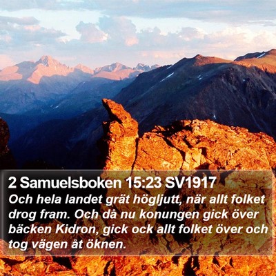 2 Samuelsboken 15:23 SV1917 Bible Verse Image