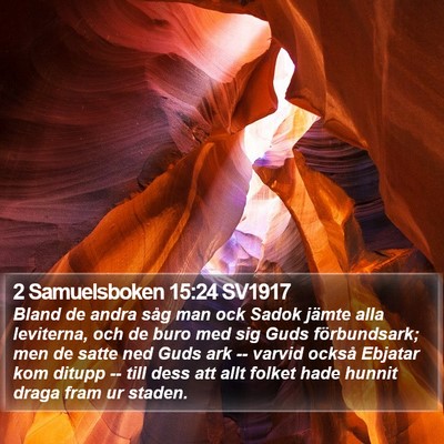 2 Samuelsboken 15:24 SV1917 Bible Verse Image