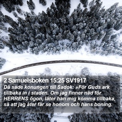 2 Samuelsboken 15:25 SV1917 Bible Verse Image