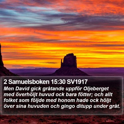 2 Samuelsboken 15:30 SV1917 Bible Verse Image