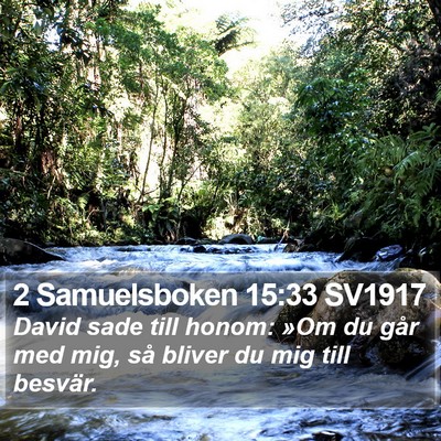 2 Samuelsboken 15:33 SV1917 Bible Verse Image