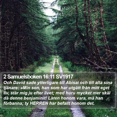 2 Samuelsboken 16:11 SV1917 Bible Verse Image