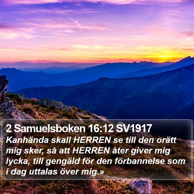 2 Samuelsboken 16:12 SV1917 Bible Verse Image