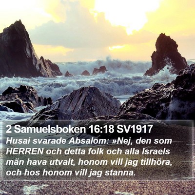 2 Samuelsboken 16:18 SV1917 Bible Verse Image