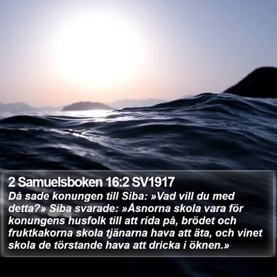 2 Samuelsboken 16:2 SV1917 Bible Verse Image