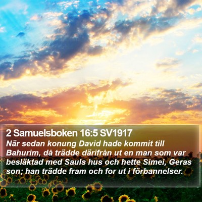 2 Samuelsboken 16:5 SV1917 Bible Verse Image