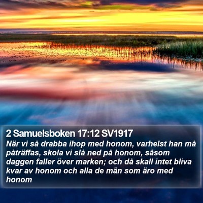 2 Samuelsboken 17:12 SV1917 Bible Verse Image