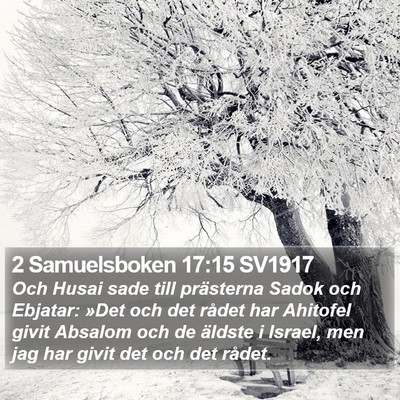 2 Samuelsboken 17:15 SV1917 Bible Verse Image