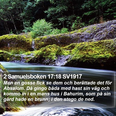 2 Samuelsboken 17:18 SV1917 Bible Verse Image