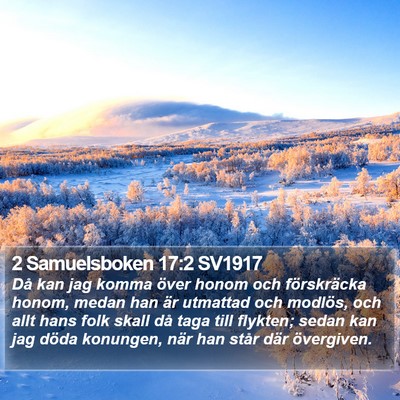 2 Samuelsboken 17:2 SV1917 Bible Verse Image