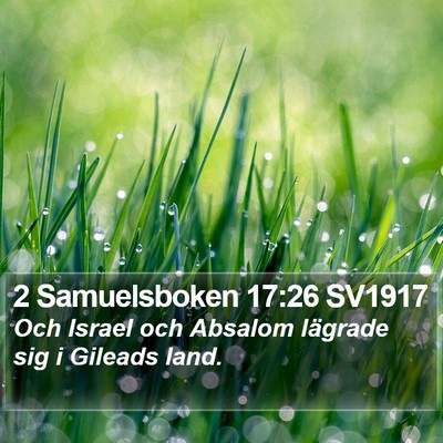 2 Samuelsboken 17:26 SV1917 Bible Verse Image