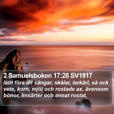 2 Samuelsboken 17:28 SV1917 Bible Verse Image