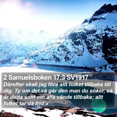 2 Samuelsboken 17:3 SV1917 Bible Verse Image