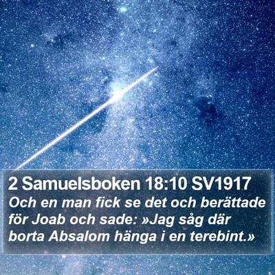 2 Samuelsboken 18:10 SV1917 Bible Verse Image