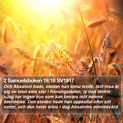 2 Samuelsboken 18:18 SV1917 Bible Verse Image