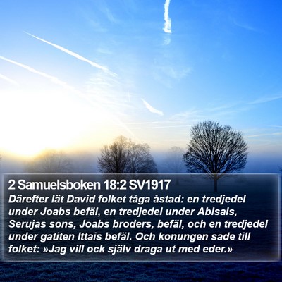 2 Samuelsboken 18:2 SV1917 Bible Verse Image