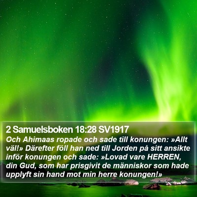 2 Samuelsboken 18:28 SV1917 Bible Verse Image